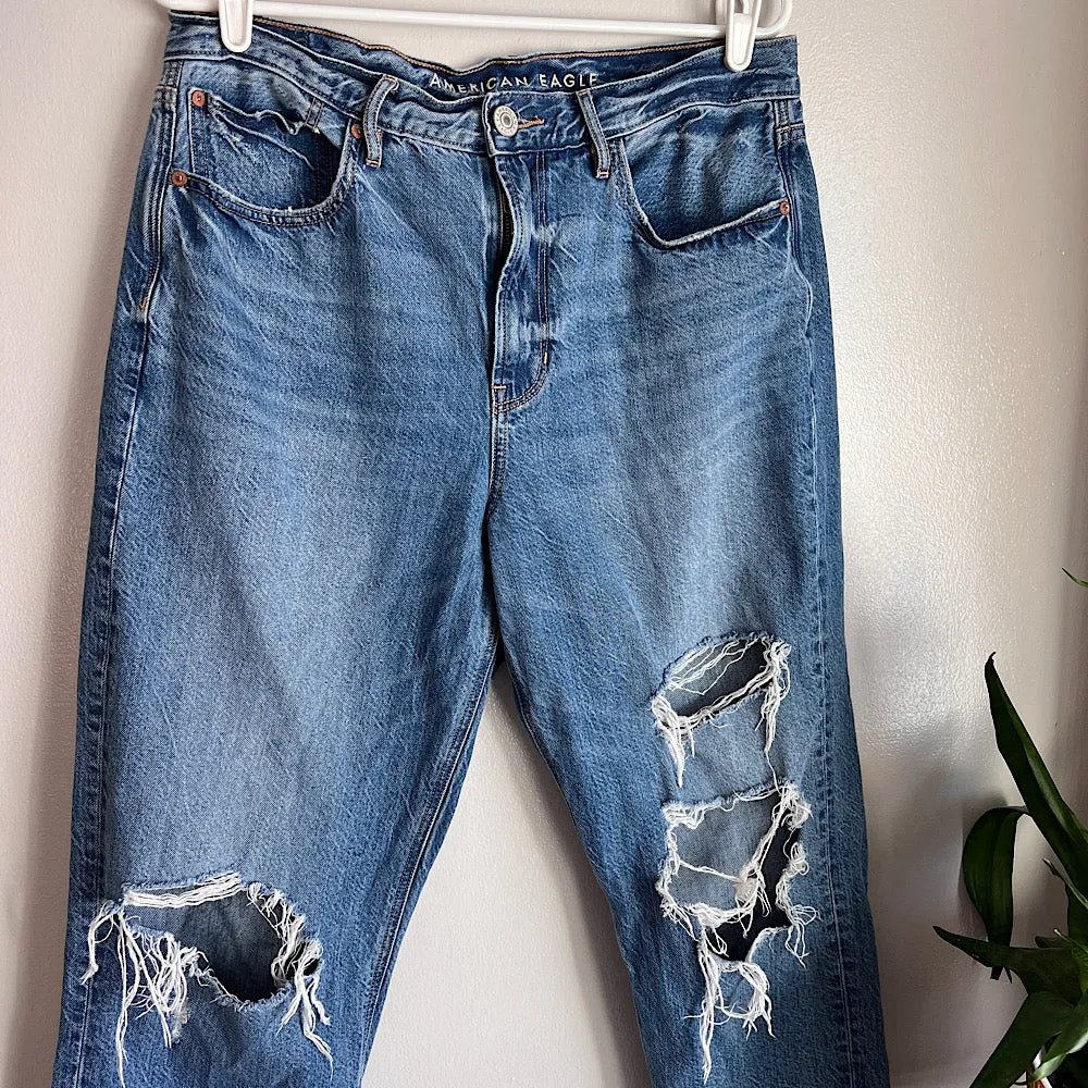 AE 90s Boyfriend Jeans (10R)