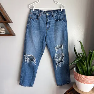 AE 90s Boyfriend Jeans (10R)