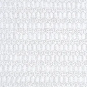 Cream Lace Optical White