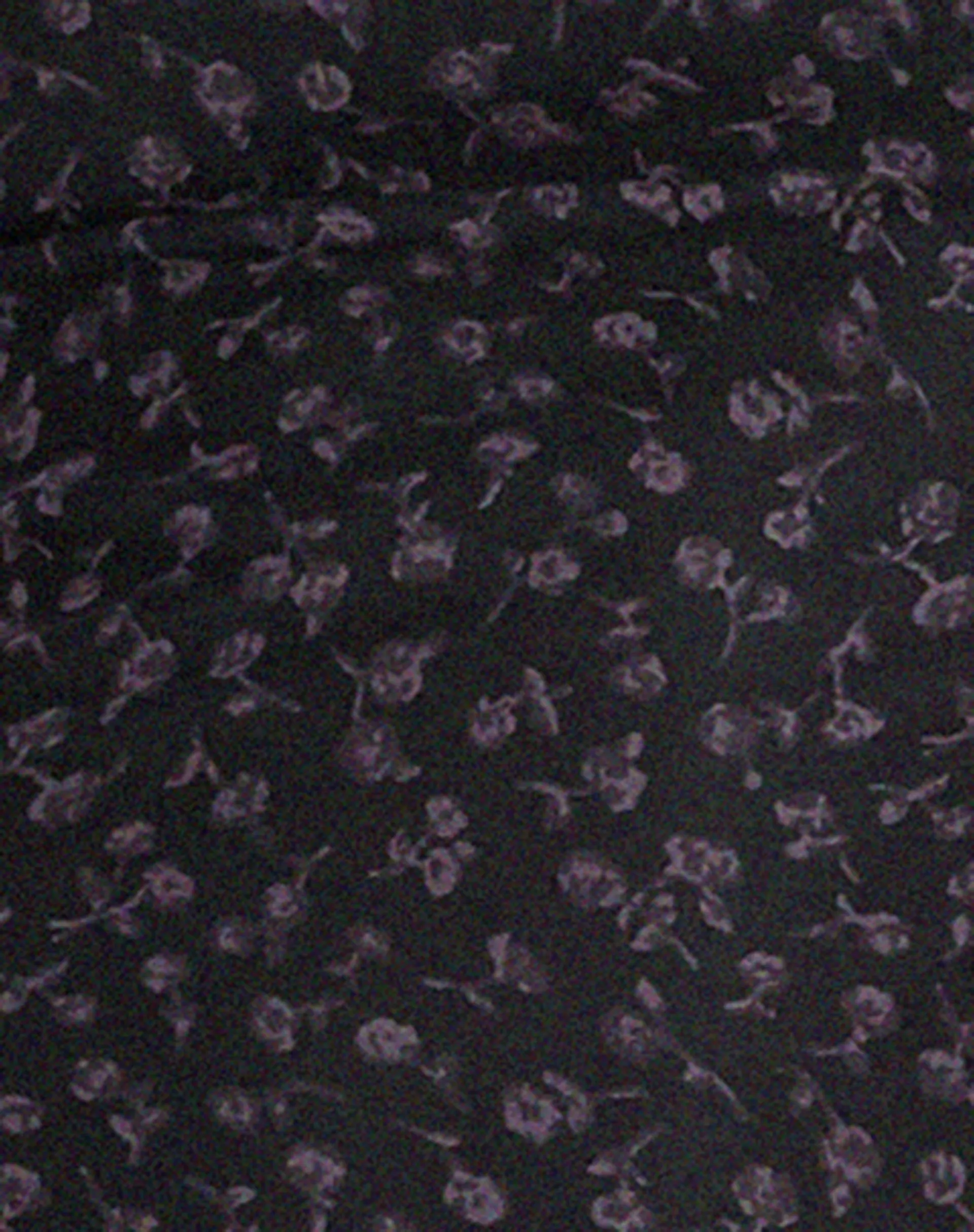 Leony Cardi in Dark Ditsy Rose Black