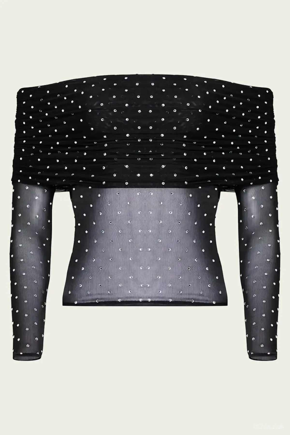Oriana Mesh Top in Black Silver