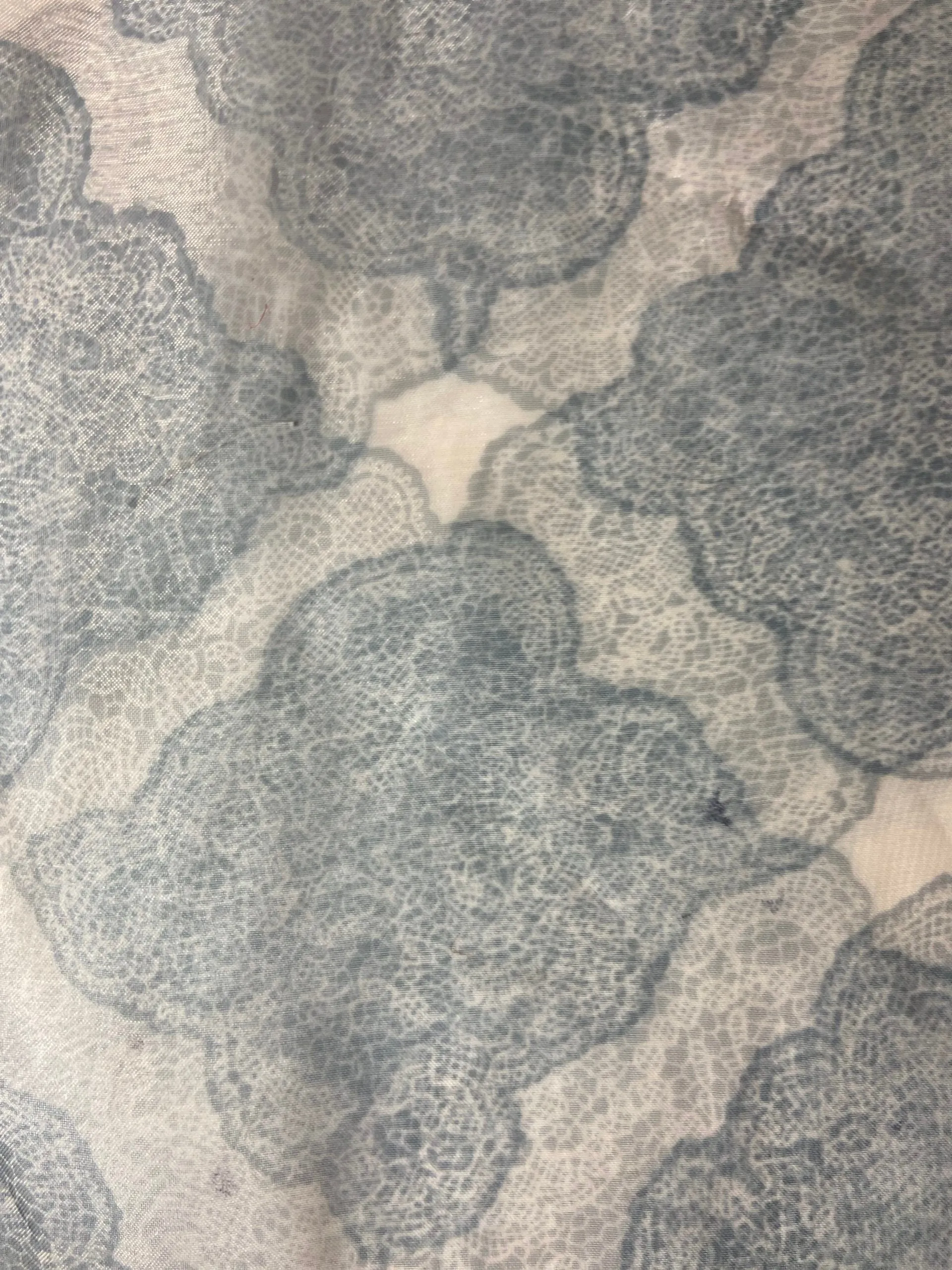 Printed Lace Organza
