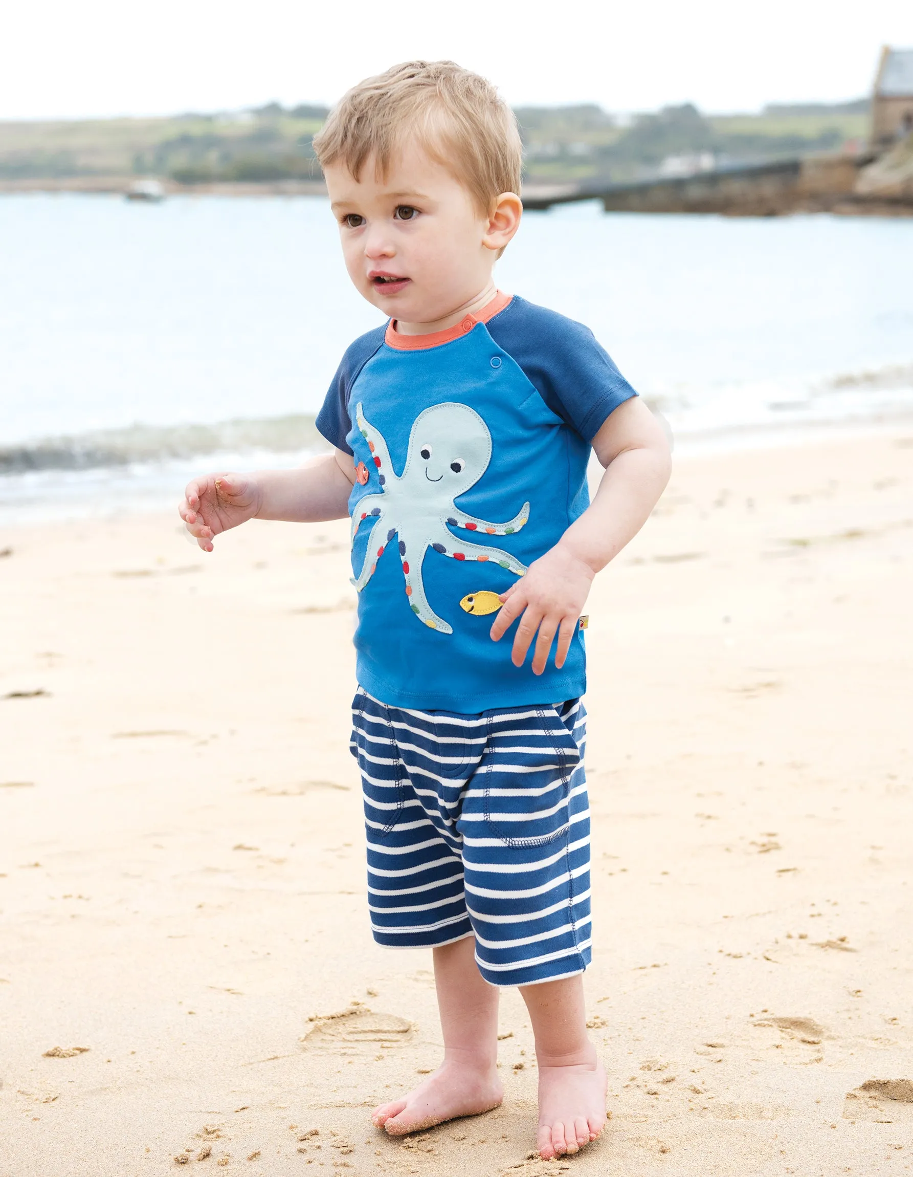 Renny Raglan T-shirt - Sail Blue/Octopus