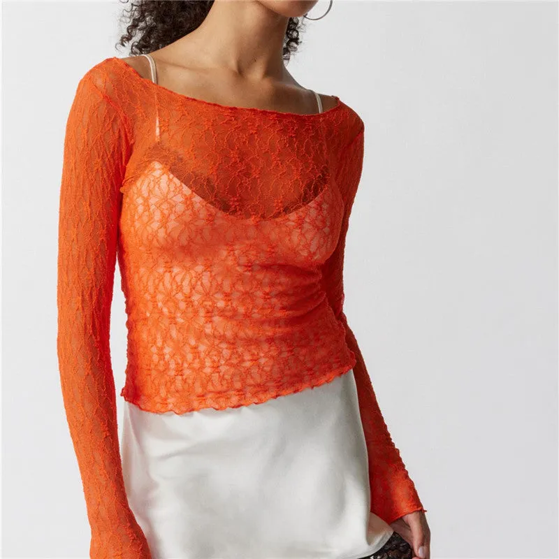 Sheer Mesh Long Sleeve Top