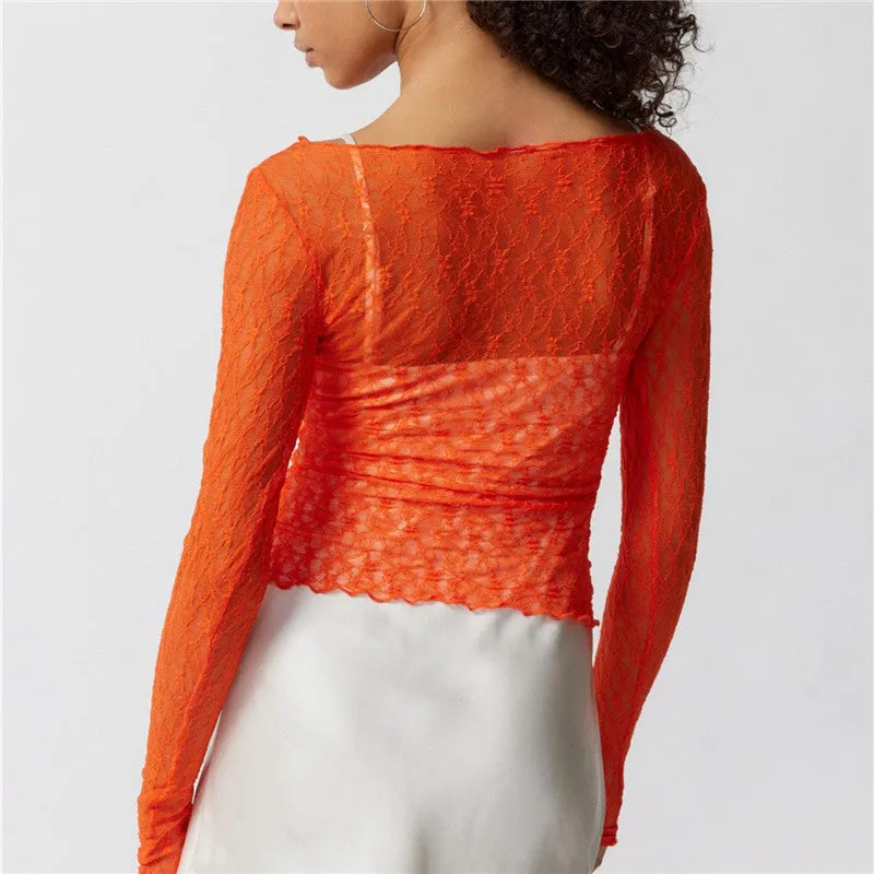 Sheer Mesh Long Sleeve Top