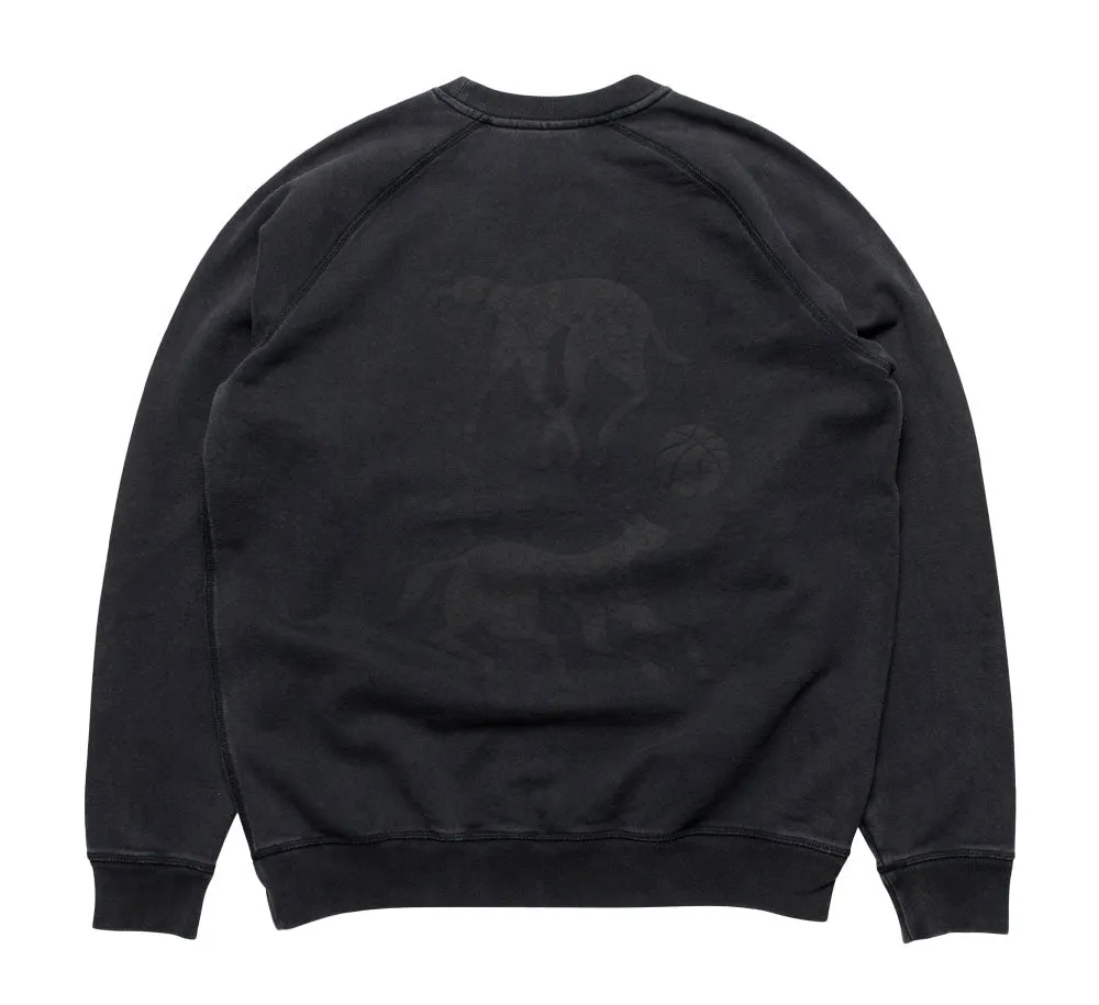 SWIMMING WITH PETS CREWNECK SWEATSHIRT